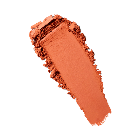 Eye Shadow (Pro Palette Refill Pan) - Red Brick - .05 oz / 1.5 g