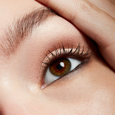 Pro Longwear Paint Pot - Bare Study - .17 oz / 5 g